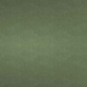 VELOURS VERT JAD